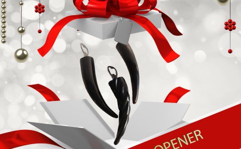 Harkiss-Design-Holiday Campaign The-Stylista-Group-Featured-Campaign